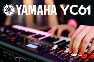 Nowość! Yamaha YC61