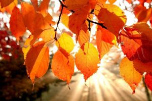 Jesienna Lista Przebojów z YAMAHA