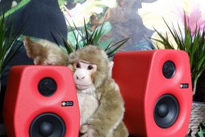 Dżungla Monkey Banana