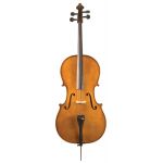 Strunal Cello Academy Salzburg 4/17 WE 3/4