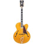 D'angelico Excel EXL1 Amber
