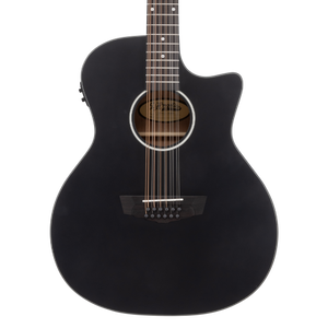 D'angelico Premier Fulton 12 LS Matte Black- gitara elektryczna