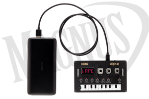 KORG NTS-1 cyfrowy syntezator &quot;zrób to sam&quot;