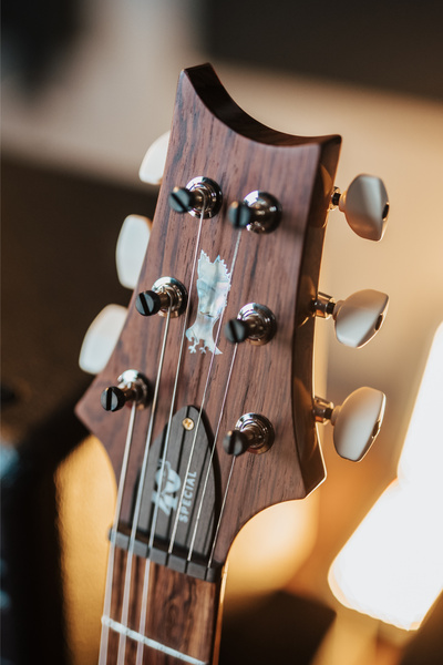 PRS 40th Anniversary Special Semi-Hollow Faded Whale Blue - gitara elektryczna USA