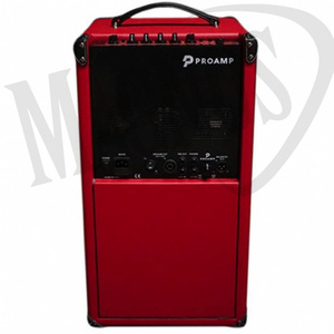 Proamp ZC 208 wzmacniacz basowy typu combo
