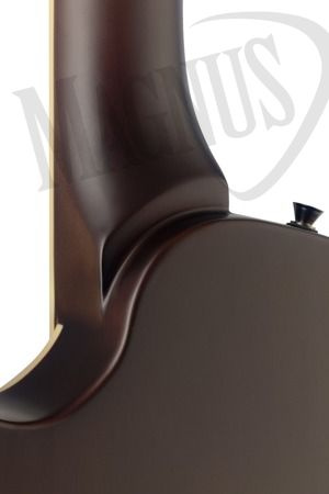 Stagg Silveray SVY CSTDLX FRED gitara elektryczna