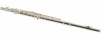 Stagg WS-211S flet