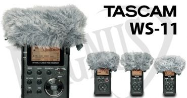 Tascam WS-11