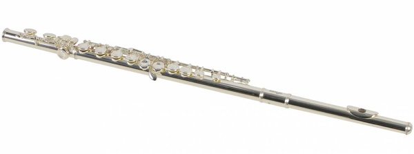 Stagg WS-211S flet
