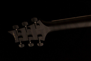 PRS DW CE 24 “Floyd”  gitara elektryczna