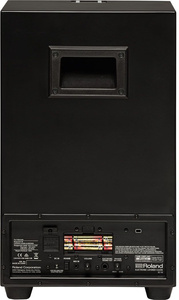 Roland EC-10  cajon