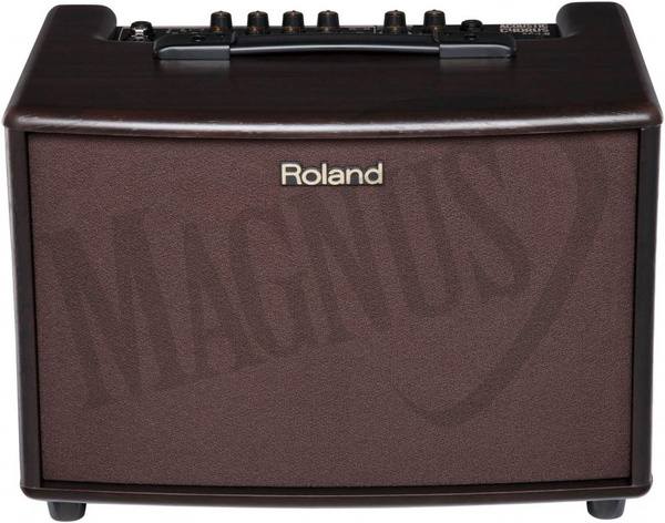 Roland AC 33 RW combo do gitary akustycznej