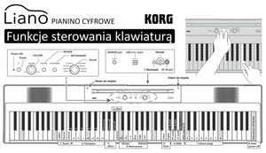 KORG L1 Liano Black pianino cyfrowe