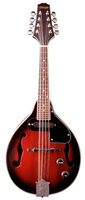Stagg M50E