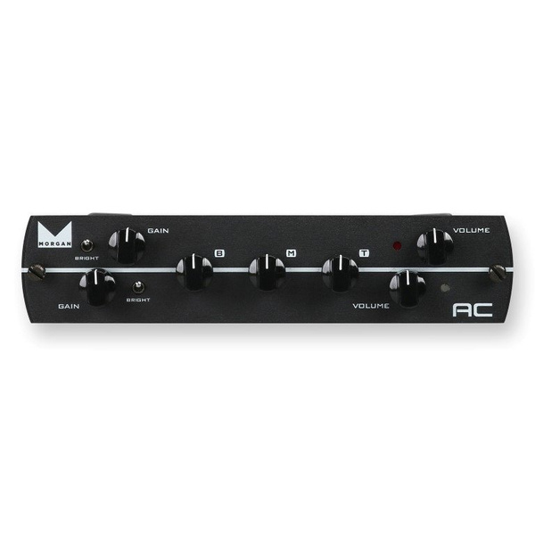 Synergy Amps Morgan AC wzmacniacz
