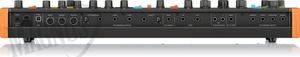 Behringer POLY D czterogłosowy syntezator analogowy