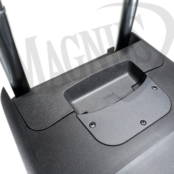 LD Systems ROADBUDDY 10 HHD 2 Zasilana z akumulatorów kolumna Bluetooth z mikserem, 2x mikrofon bezprzewodowy