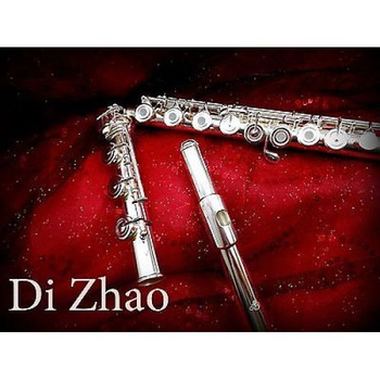Di Zhao DZ-701 BEF flet poprzeczny srebrny flet