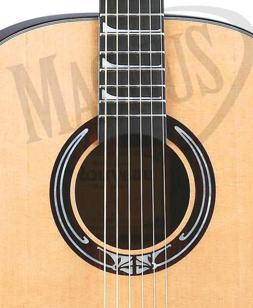 Luna Artist Nouveau - gitara elektroakustyczna gitara elektroakustyczna