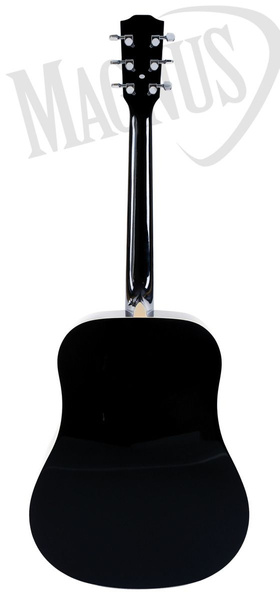 Prodipe Guitars SD20 gitara akustyczna
