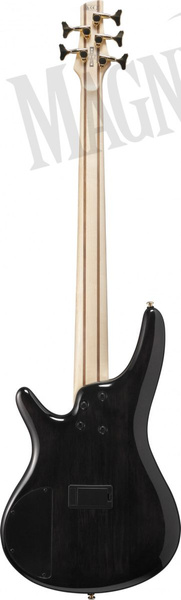 Ibanez SR 5-Str Tropical Seafloor Burst gitara basowa