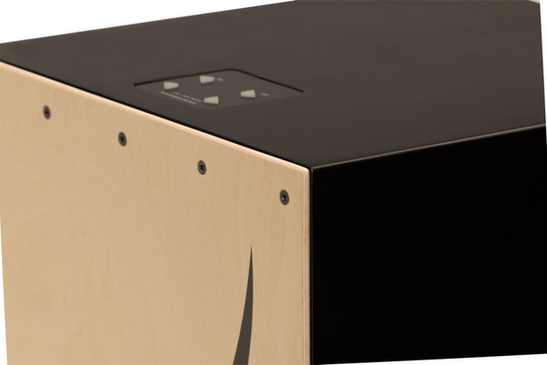 Roland EC-10  cajon