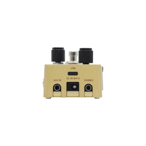 Hotone Omni AC - efekt gitarowy