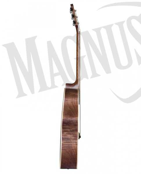 Baton Rouge  AR61S/A gitara akustyczna