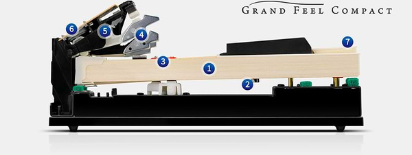 Kawai CA 401 R pianino cyfrowe