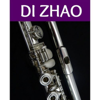 DI ZHAO DZ-501 CEF Flet poprzeczny flet