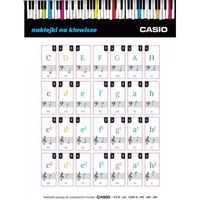 Casio naklejki na klawisze duże