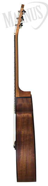 Baton Rouge AR11C/ACE-W gitara elektroakustyczna