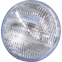 Philips PAR 56 MFL 300W żarówka