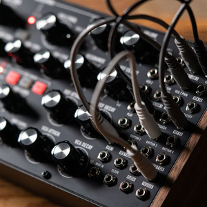 Moog Subharmonicon syntezator analogowy
