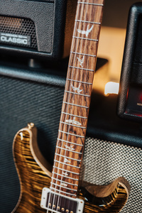 PRS 40th Anniversary Special Semi-Hollow Yellow Tiger - gitara elektryczna USA