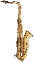 Stagg WS-TS215S