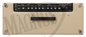 Roland Blues Cube Artist Combo