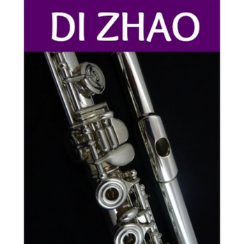 Di Zhao DZ-501 BEF Flet poprzeczny flet