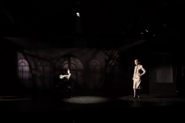 American DJ Encore Profile 1000 WW reflektor teatralny profilowy