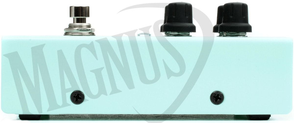 Aguilar Filter Twin efekt gitarowy