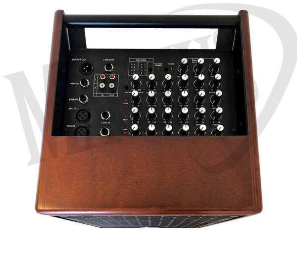 Prodipe Natural6 Cherrywood  - combo akustyczne 140W