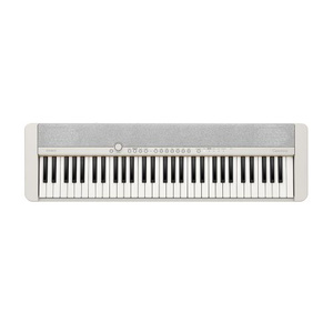 Casio Casiotone CT-S1 WE keyboard