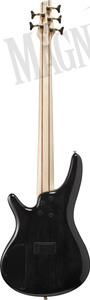 Ibanez SR 5-Str Tropical Seafloor Burst gitara basowa