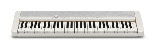 Casio Casiotone CT-S1 WE keyboard