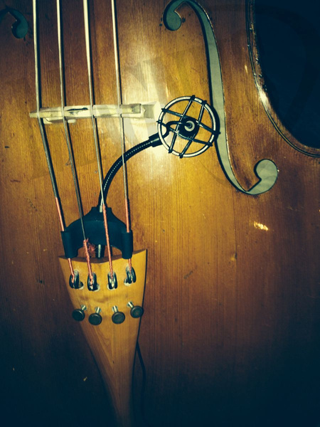 Prodipe CL21 mikrofon przewodowy