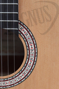 Prodipe Guitars Primera 3/4 LH gitara klasyczna, leworęczna