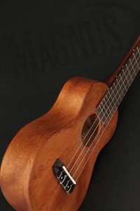 Takamine GUT1 ukulele tenorowe