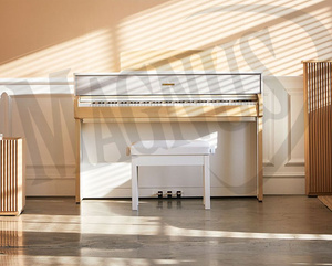 Dynatone DPR - 4160 N