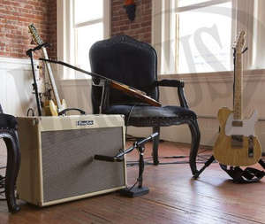 Roland Blues Cube Artist Combo