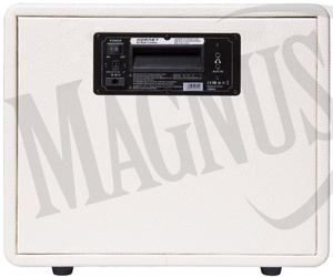Mooer Hornet White 30 Combo